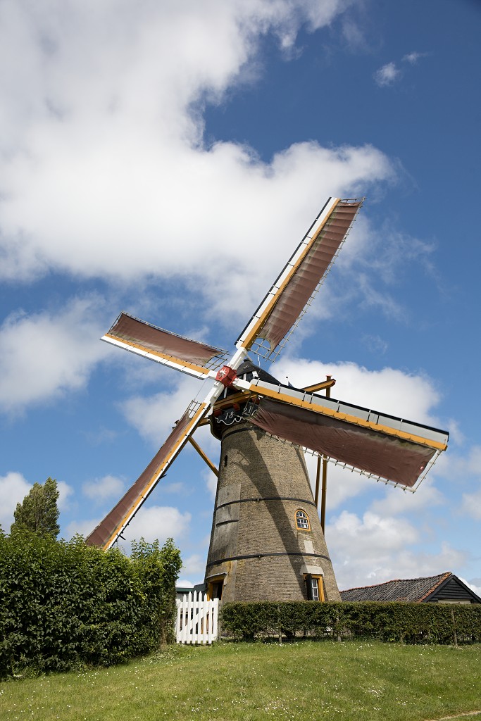 molen molens hdr erfgoed polder landschap windmolen windmolenpark windpark windmolens windturbine windenergie windturbines